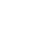 tire x