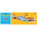 Curtiss P-40 Warhawk flying model kit