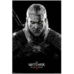 The Witcher - Toxicity Poisoning Poster 91.5x61cm