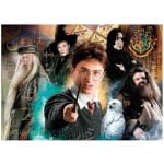 Harry Potter Jigsaw Puzzle Harry at Hogwarts 500 pcs - Image 2
