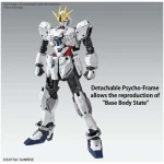 MG NARRATIVE GUNDAM C-PACKS Ver.Ka 1/100 - Image 4