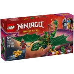 LEGO Ninjago Lloy's Green Forest Dragon