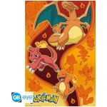 Pokemon - Fire Type Maxi Poster 91.5x61cm
