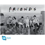 FRIENDS Poster Friends (91.5 x 61cm)