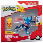 Pokemon battle figure pack torchic & greninja
