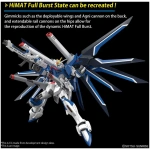 Hg Gundam - Rising Freedom 1/144 - Image 4
