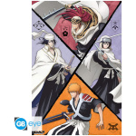 BLEACH TYBW - Poster Maxi 91.5x61 FSC MIX - Shinigami Group